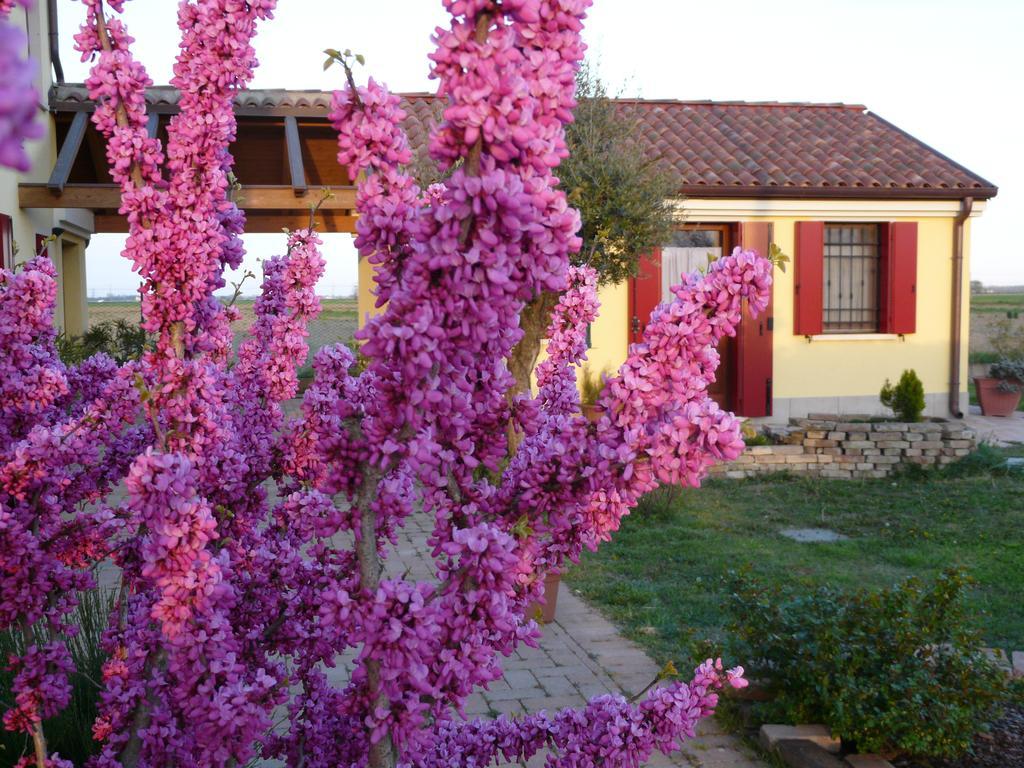 B&B La Garzetta Adria Exterior foto